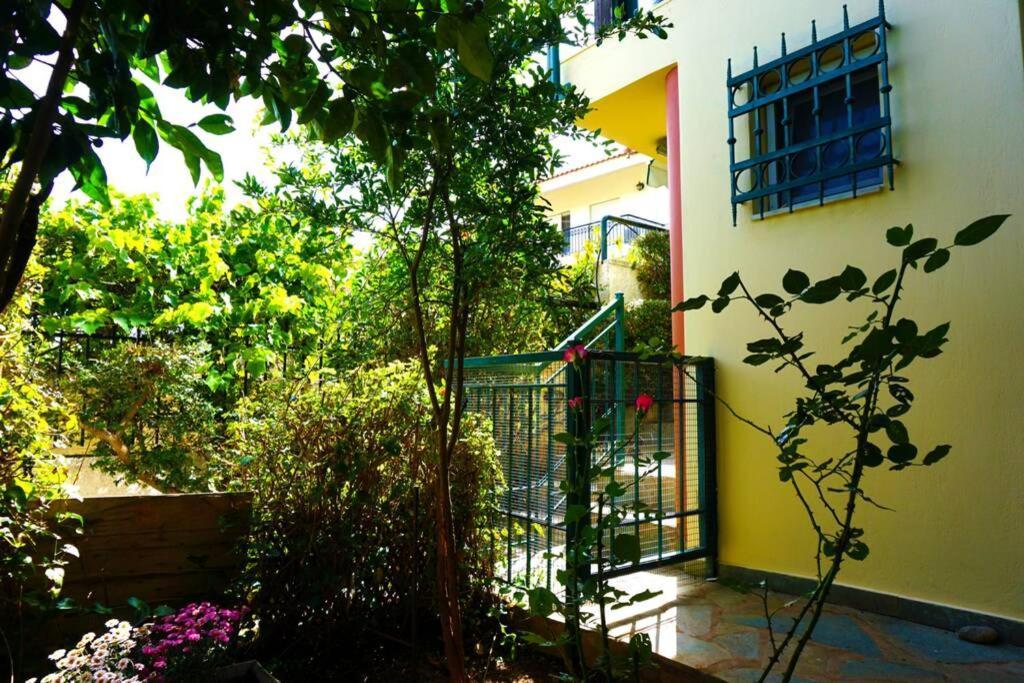 Cosy Guest House With Private Yard Saronida Ngoại thất bức ảnh